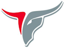 DT Image