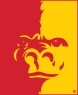 DT Image