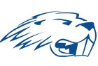 DT Image